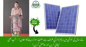 CM Punjab Solar Panel Scheme 2026 Get Free Solar Panels&hellip;
